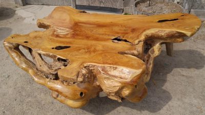 Large Wooden Tree Stump Coffee Table